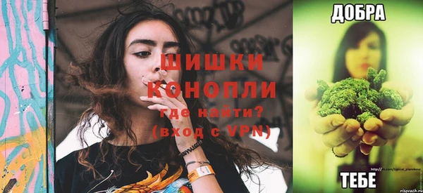 прущие грибы Усмань