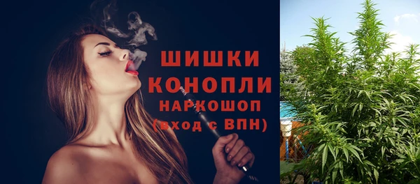 мдпв Киреевск