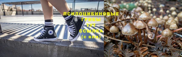 мдпв Киреевск
