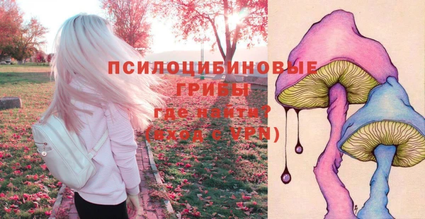 соль ск Кинешма
