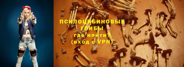 соль ск Кинешма