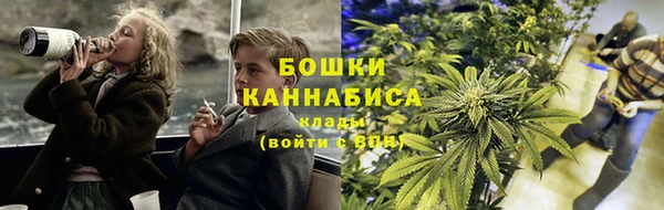 мдпв Киреевск