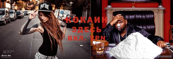 трава Туринск