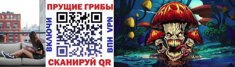 Купить  Кириши  Псилоцибиновые грибы GOLDEN TEACHER 