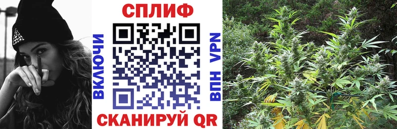 Шишки марихуана THC 21%  Купить где  Кириши 